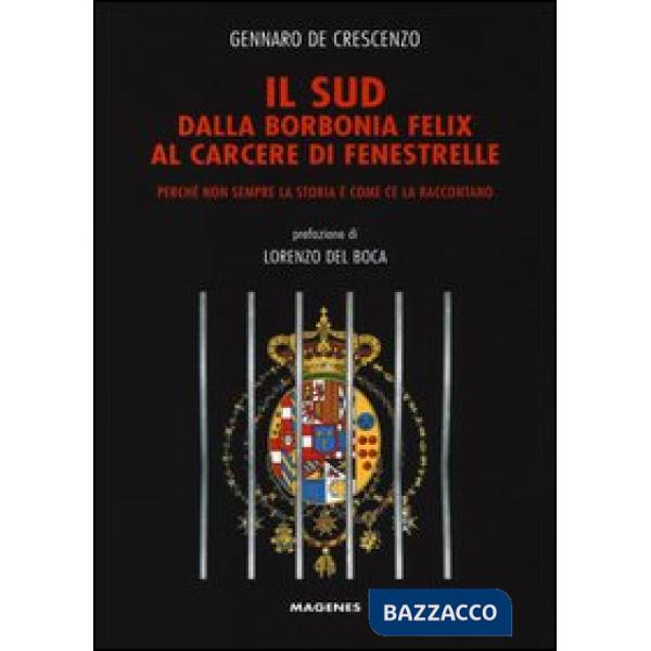 Sud dalla Borbonia felix al carcere di Fenestrelle. Perché non sempre la storia è come ce la raccontano (Il)