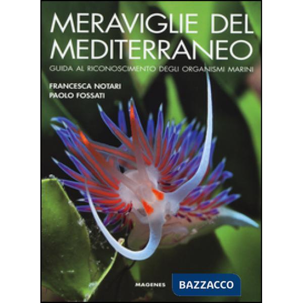 Meraviglie del Mediterraneo. Guida al riconoscimento degli organismi marini. Ediz. illustrata