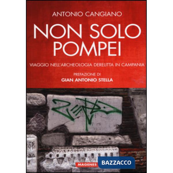 Non solo Pompei. Viaggio nell'archeologia derelitta in Campania