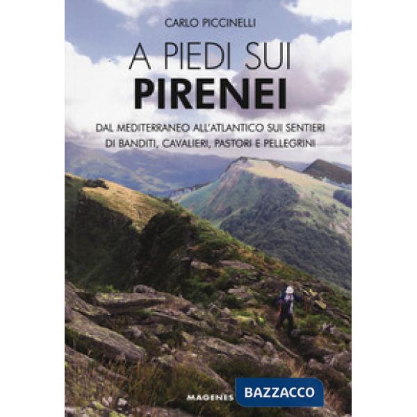 A piedi sui Pirenei. Dal Mediterraneo all'Atlantico sui sentieri di banditi, cavalieri, pastori e pellegrini