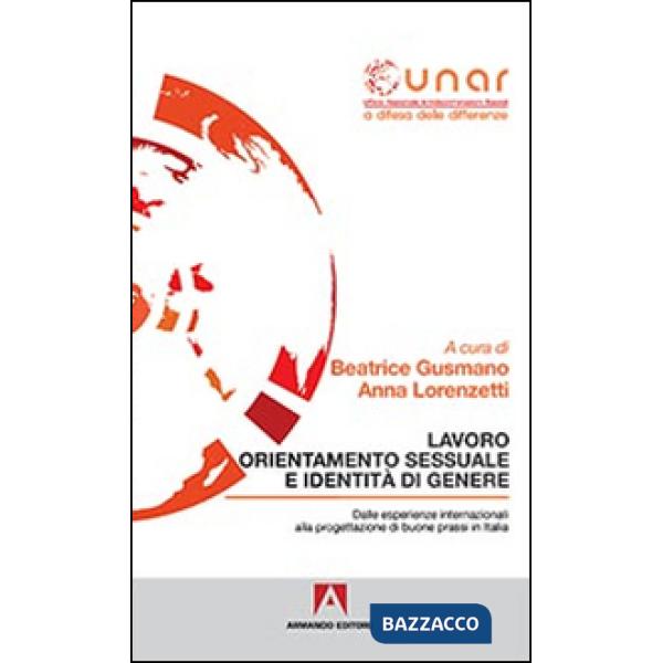 Lavoro orientamento sessuale e identità di genere. Con CD-ROM