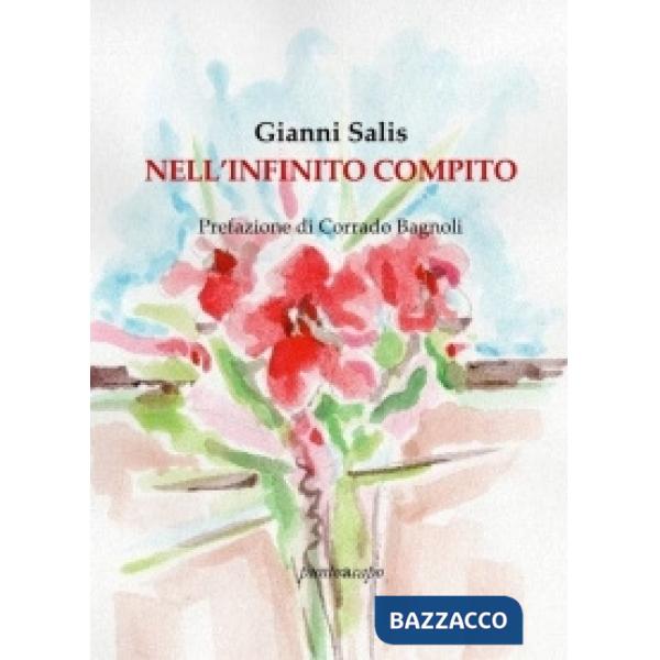Nell'infinito compito