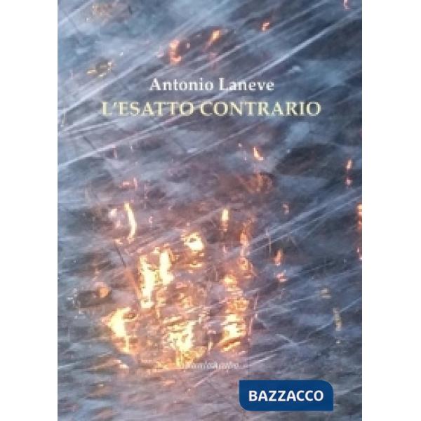 Esatto contrario (L')