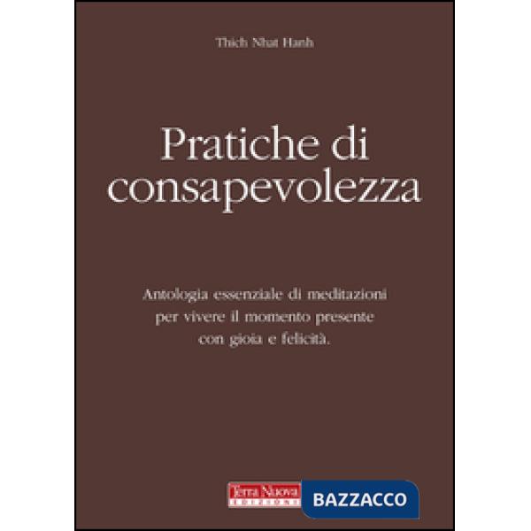 Pratiche di consapevolezza. Antologia essenziale di meditazioni per vivere il momento presente con gioia e felicità