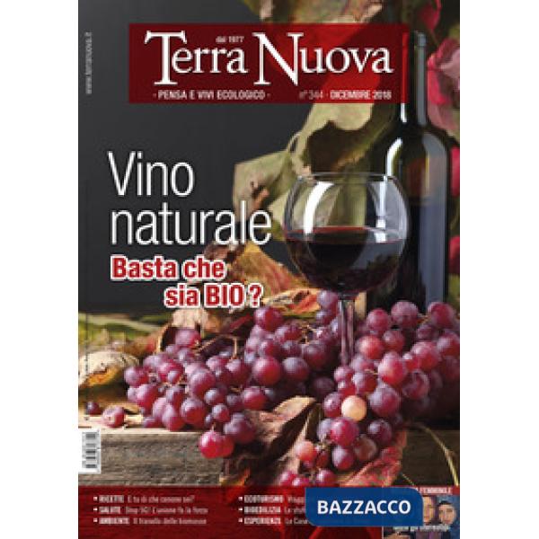 Terra nuova (2018). Vol. 12: Dicembre