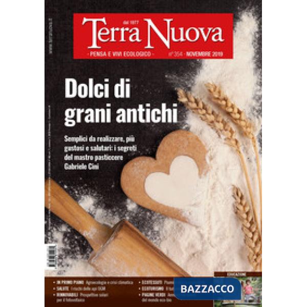 Terra nuova (2019). Vol. 11: Novembre