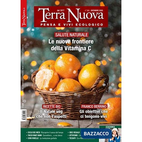 Terra nuova (2020). Vol. 11: Dicembre