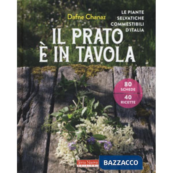 Prato è in tavola. Le piante selvatiche commestibili d'Italia. Ediz. a colori (Il)