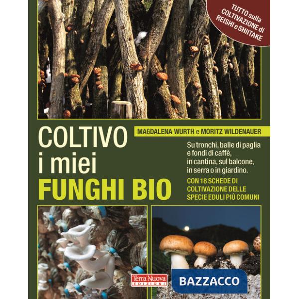 Coltivo i miei funghi bio. Sui tronchi, balle di paglia e fondi di caffè, in cantina, sul balcone, in serra o in giardino