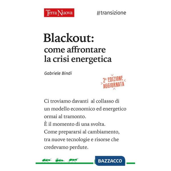 Blackout. Come affrontare la crisi energetica