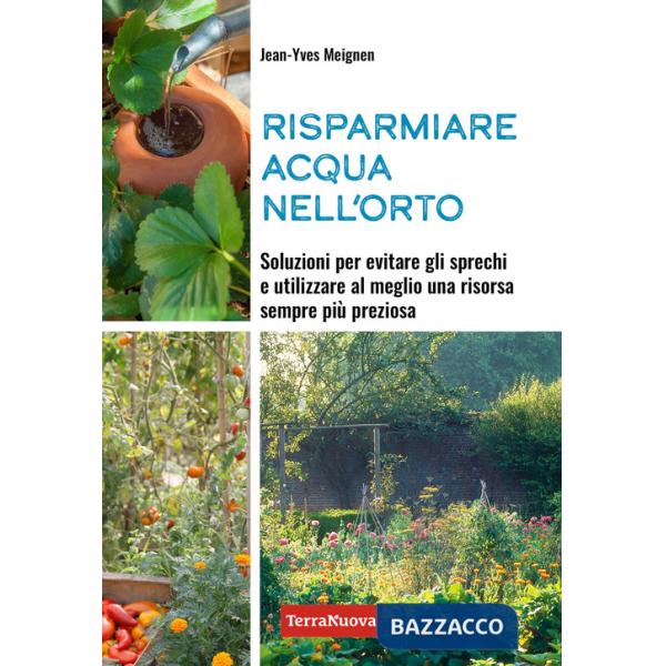 Risparmiare acqua nell'orto. Soluzioni per evitare gli sprechi e utilizzare al meglio una risorsa sempre più preziosa
