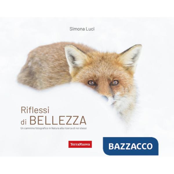 Riflessi di bellezza. Un cammino fotografico in Natura alla ricerca di se stessi. Ediz. a colori