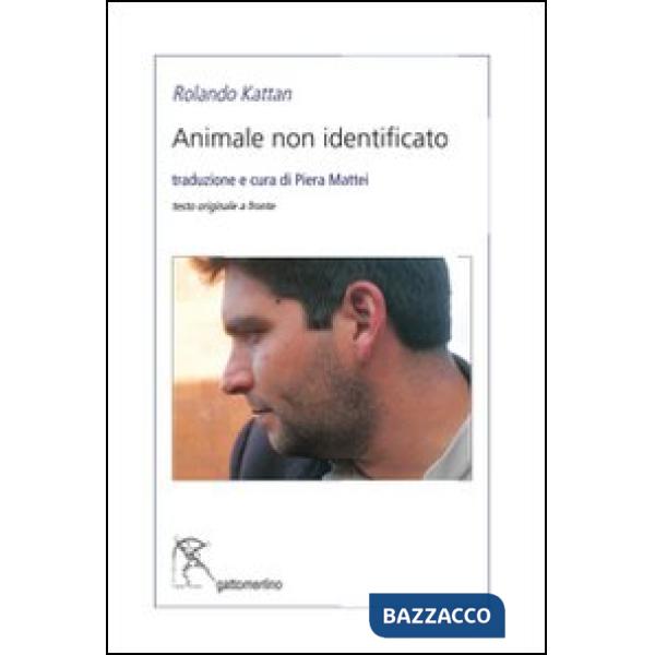 Animale non identificato