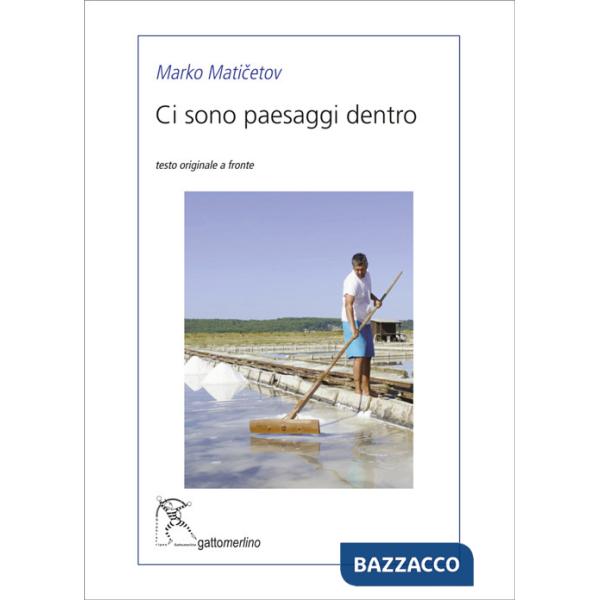 Ci sono paesaggi dentro. Ediz. multilingue