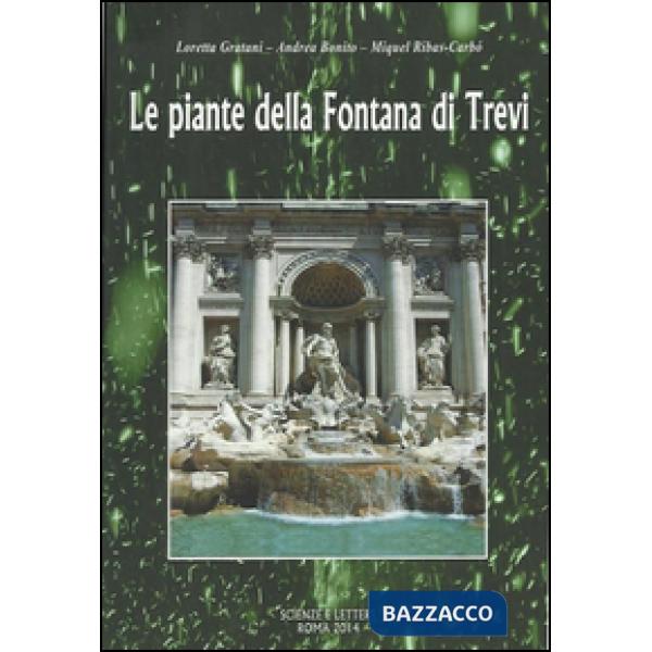 Piante della fontana di Trevi (Le)