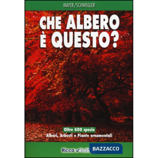 Che albero è questo?