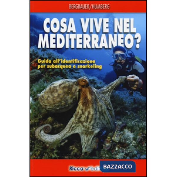 Cosa vive nel Mediterraneo? Guida all'identificazione per i subacquea e snorkeli