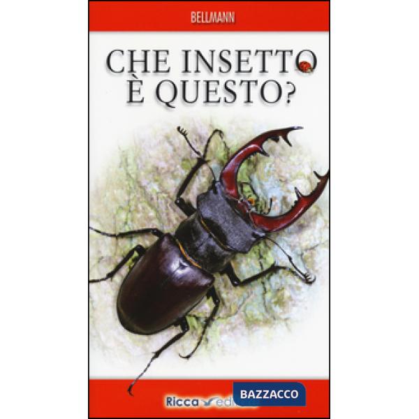 Che insetto è questo? Ediz. illustrata