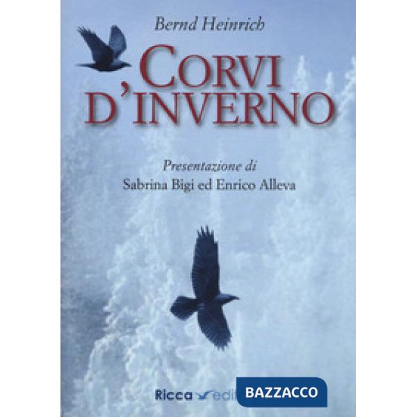 Corvi d'inverno