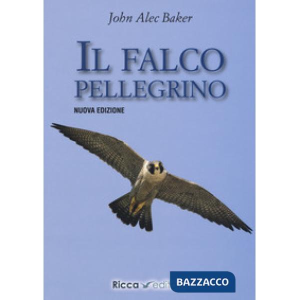 Falco pellegrino. Nuova ediz. (Il)