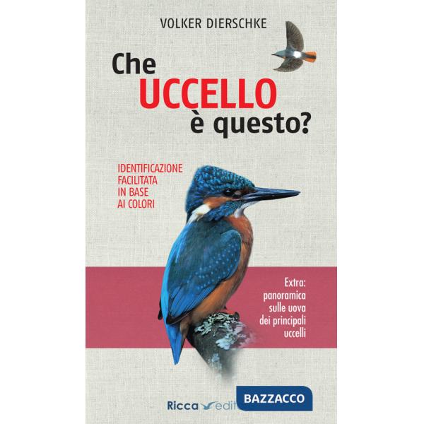 Che uccello è questo?