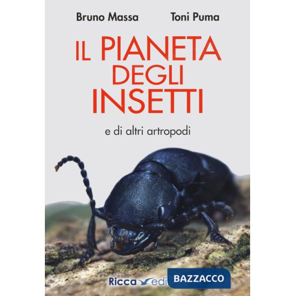 Pianeta degli insetti e di altri artropodi (Il)