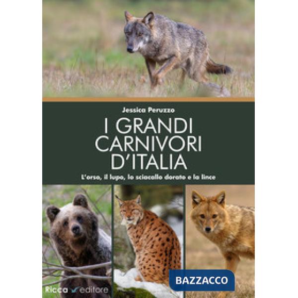Grandi carnivori d'Italia. L'orso, il lupo, lo sciacallo dorato e la lince (I)