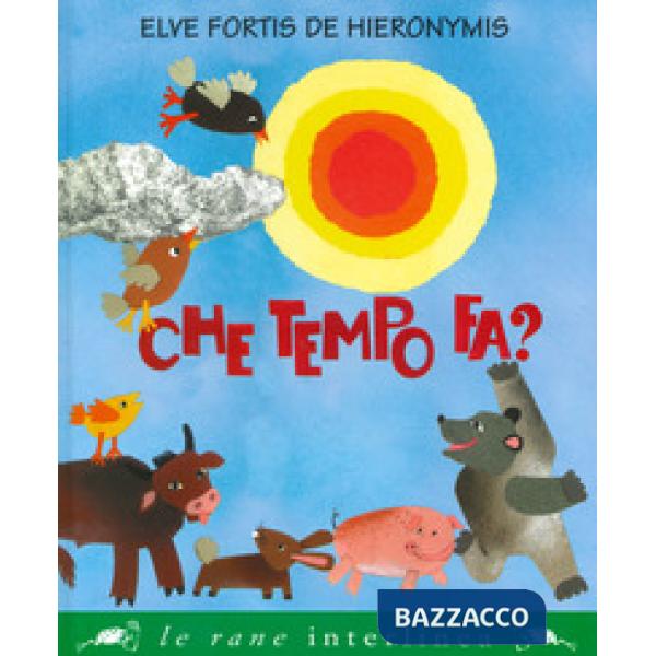 Che tempo fa? Ediz. a colori