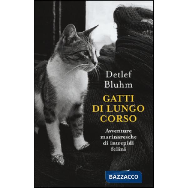 Gatti di lungo corso. Avventure marinaresche di intrepidi felini