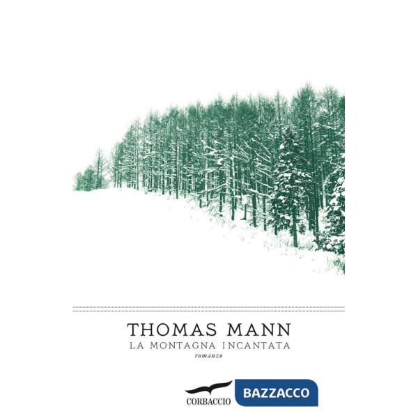 Montagna incantata (La)