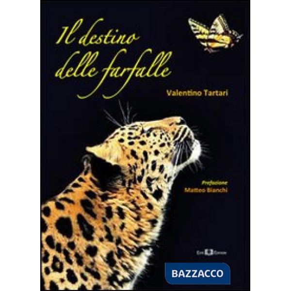 Destino delle farfalle (Il)