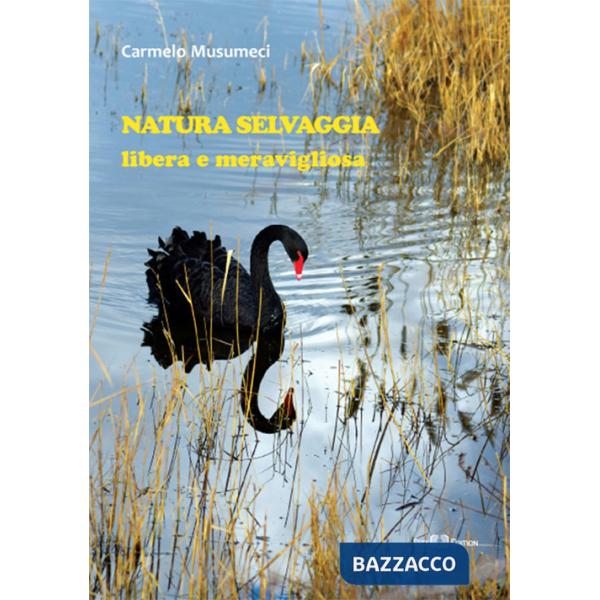 Natura selvaggia. Libera e meravigliosa. Ediz. a colori