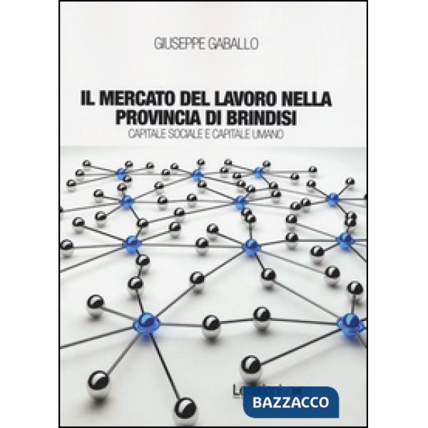 Mercato del lavoro nella provincia di Brindisi. Capitale sociale e capitale uman