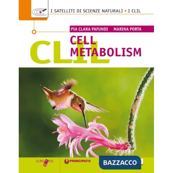 CLIL CELL METABOLISM