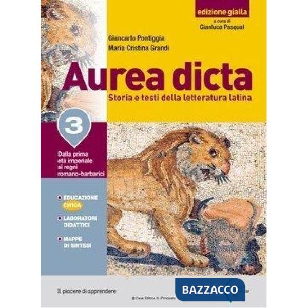 AUREA DICTA GIALLA 3