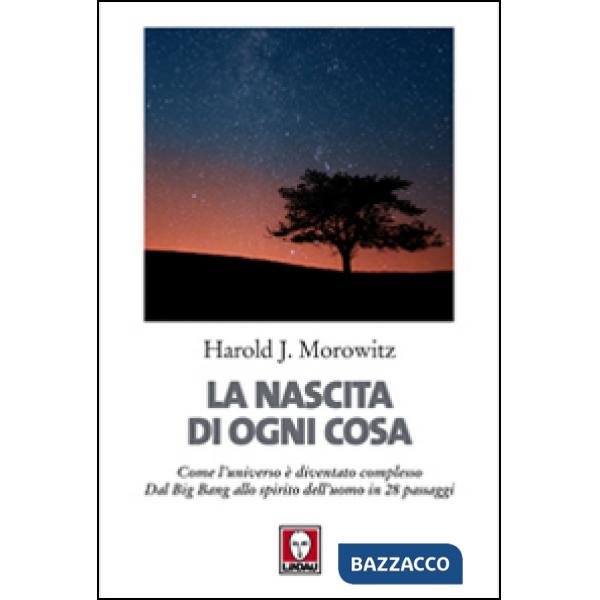 Nascita di ogni cosa. Come l'universo è diventato complesso. Dal Big Bang allo s
