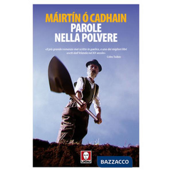 Parole nella polvere