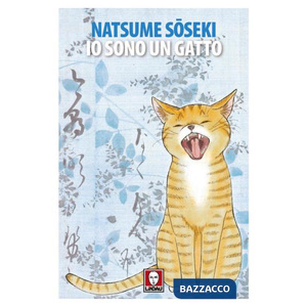 Io sono un gatto