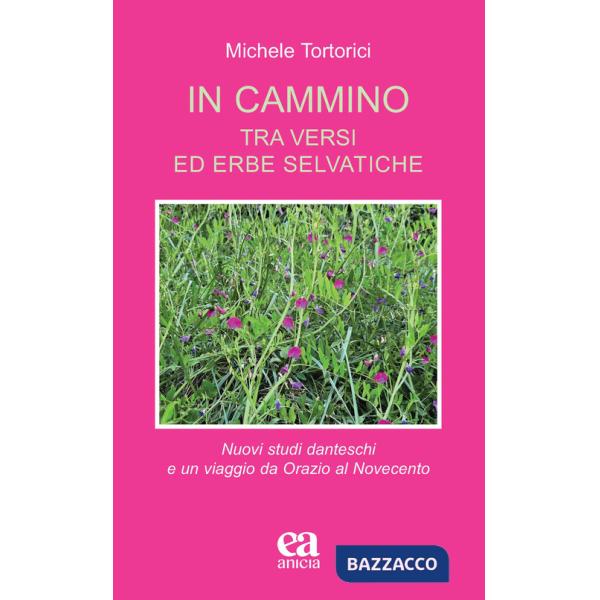 In cammino. Tra versi ed erbe selvatiche. Nuovi studi danteschi e un viaggio da Orazio al Novecento