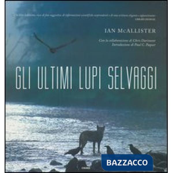 Ultimi lupi selvaggi. Ediz. illustrata (Gli)