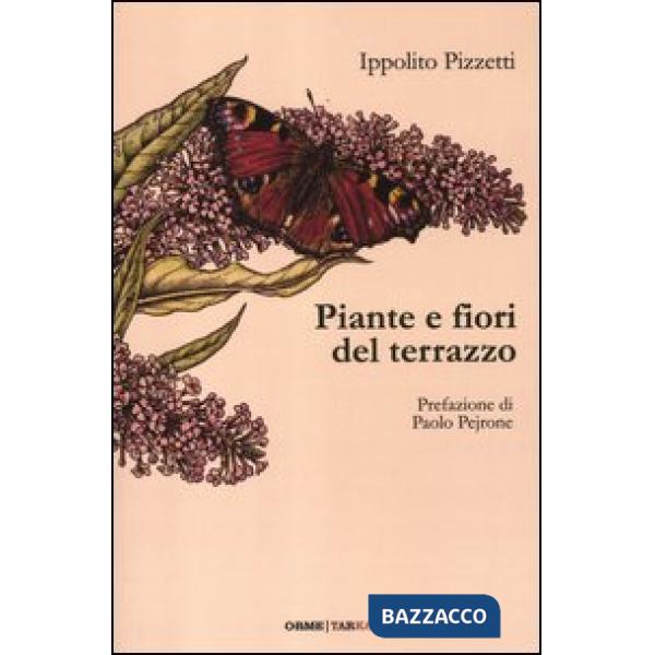 Piante e fiori del terrazzo