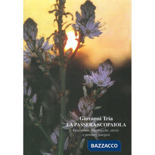 Passera scopaiola. Epigrammi, filastrocche, storie e pensieri murgesi (La)