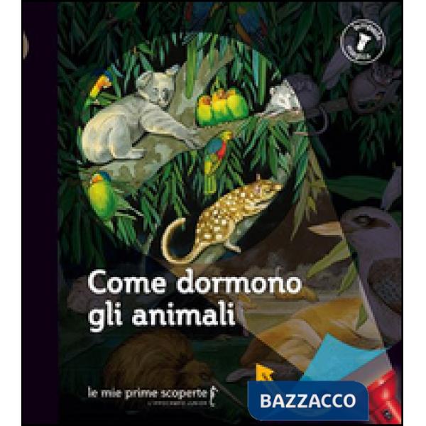 Come dormono gli animali. Lampada magica
