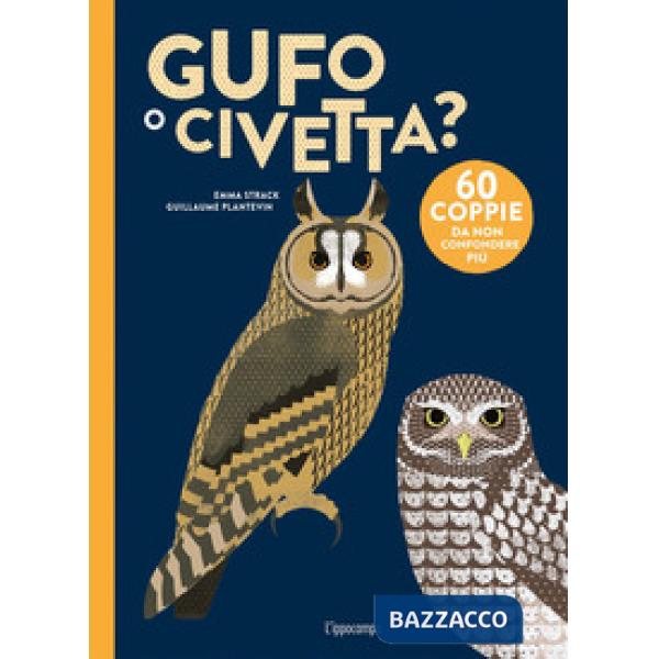Gufo o civetta?