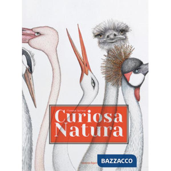 Curiosa natura