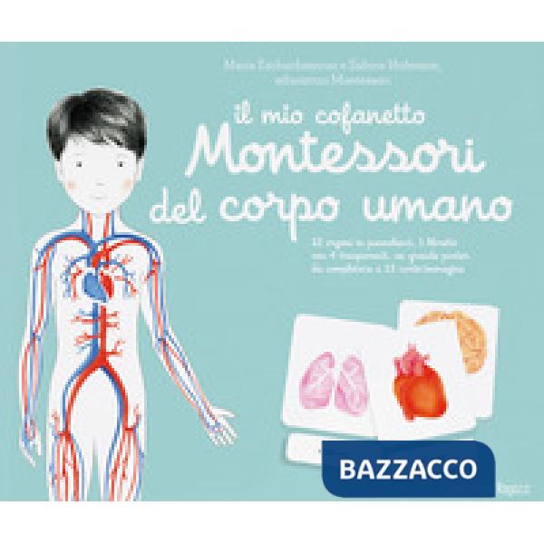 Mio cofanetto Montessori del corpo umano (Il)