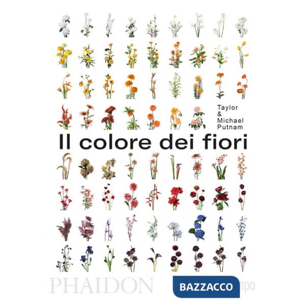 Colore dei fiori (Il)