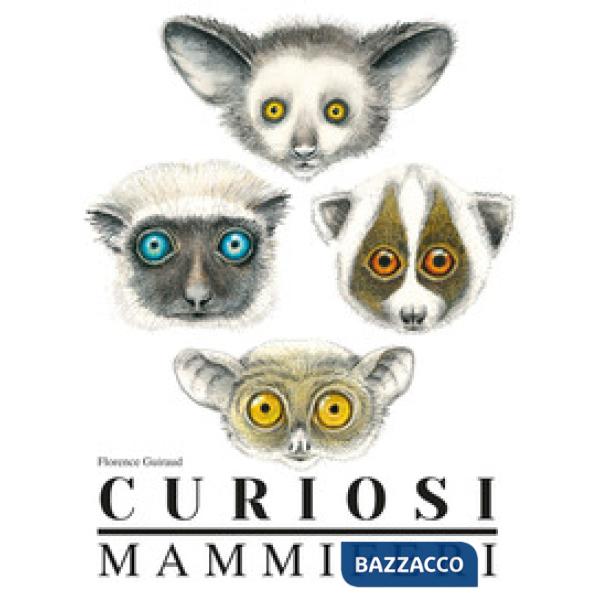 Curiosi mammiferi. Ediz. a colori