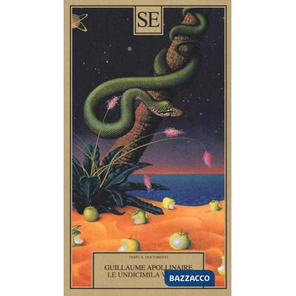 Undicimila verghe (Le)