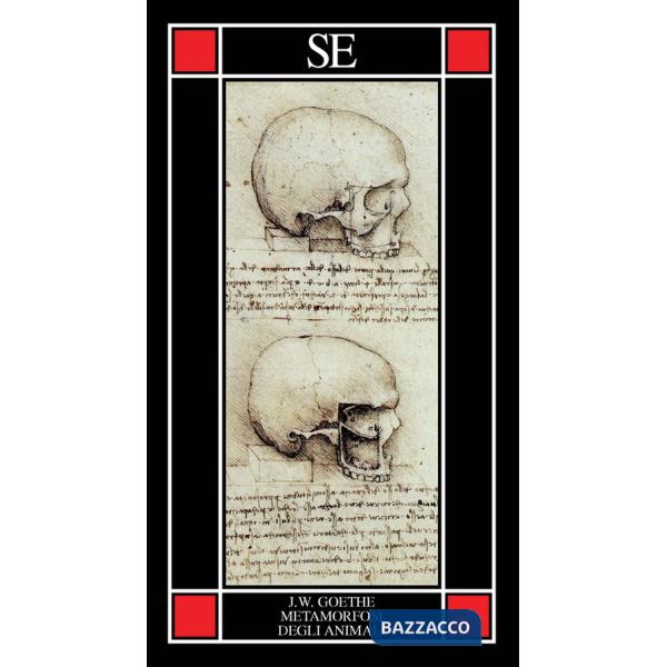 Metamorfosi degli animali (La)